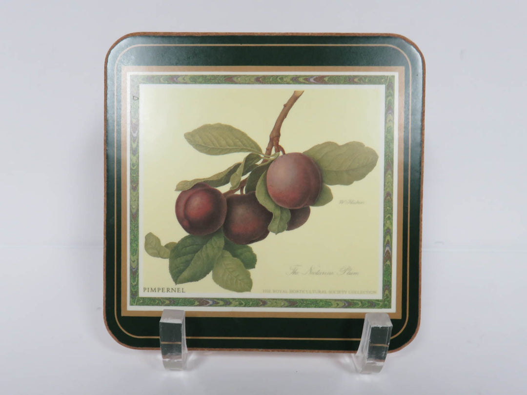 Pimpernel "Hooker Fruit" Coasters