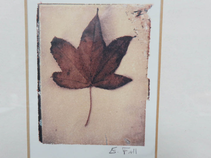 Pair of Leaf Prints