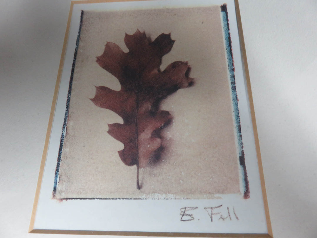 Pair of Leaf Prints
