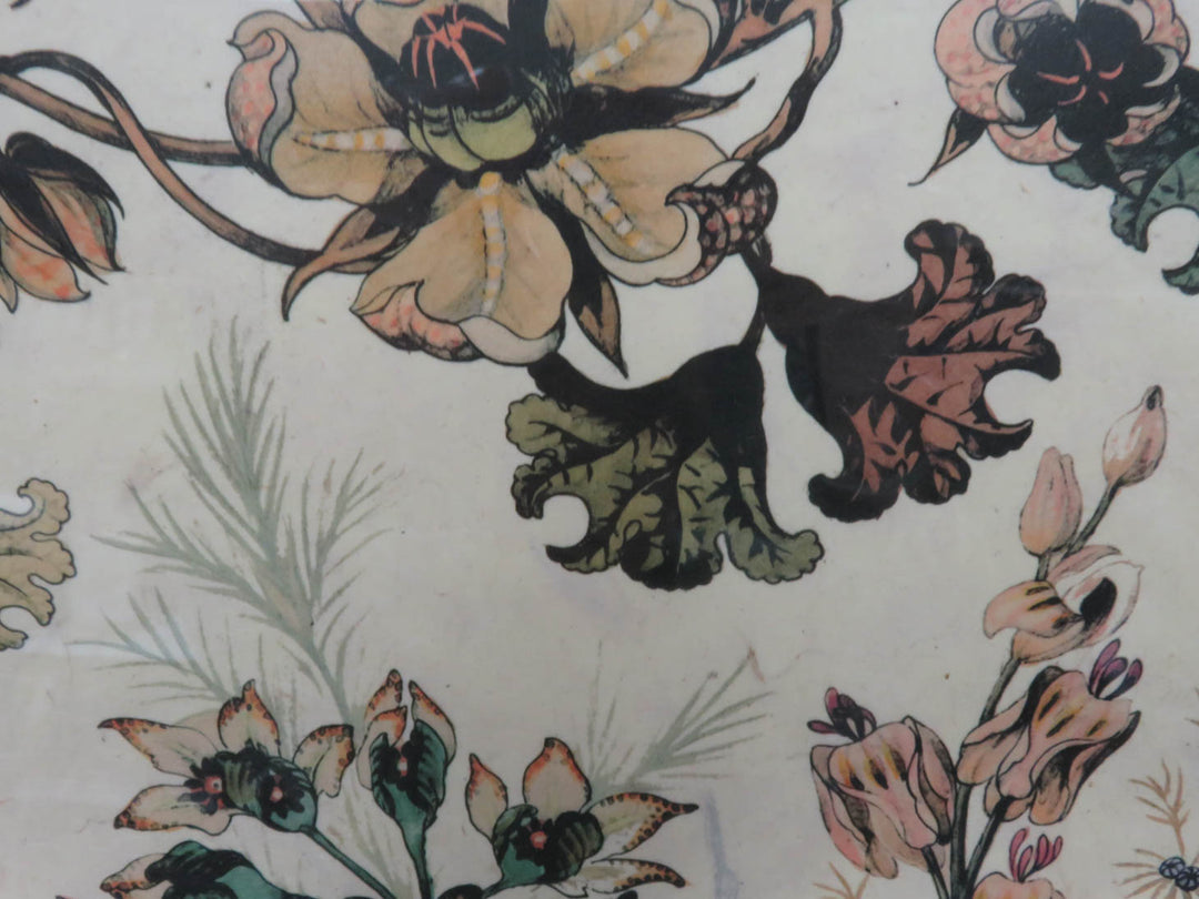 Hand Tinted Fantasy Floral Print Plate II