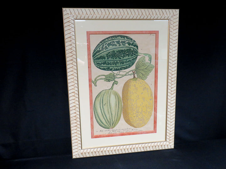 Botanical Melon Print