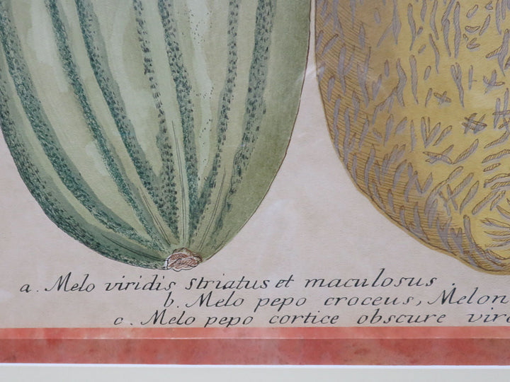 Botanical Melon Print