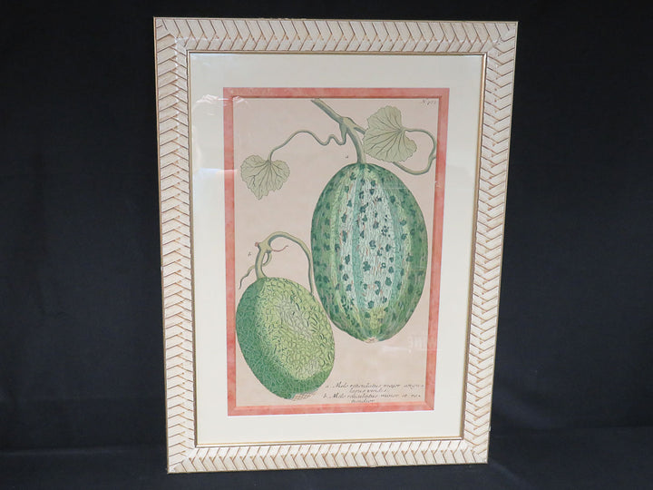 Botanical Melon Print