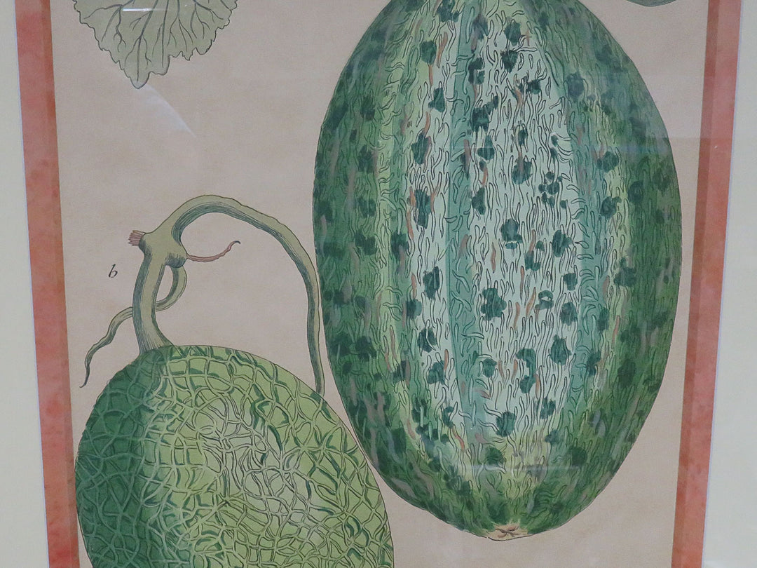 Botanical Melon Print
