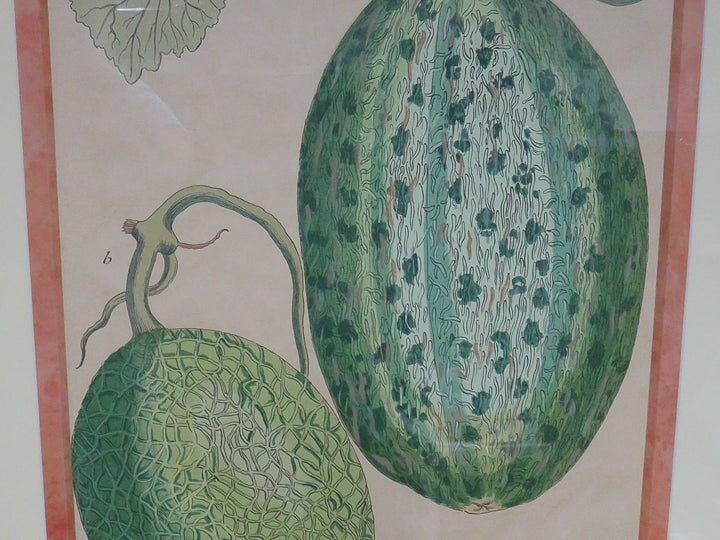 Botanical Melon Print