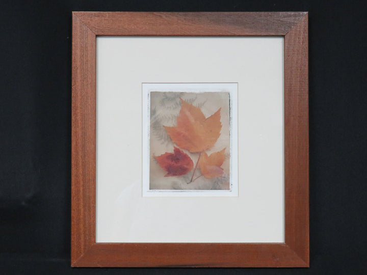 Pier 1 Leaf Trio Print