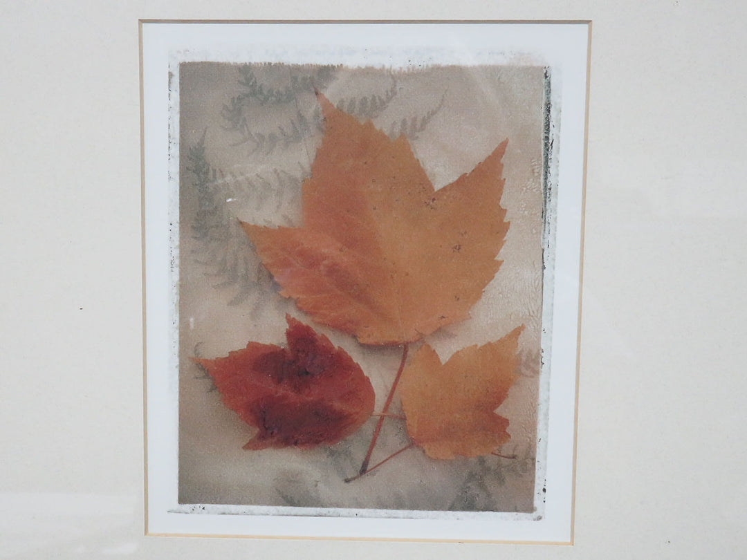 Pier 1 Leaf Trio Print