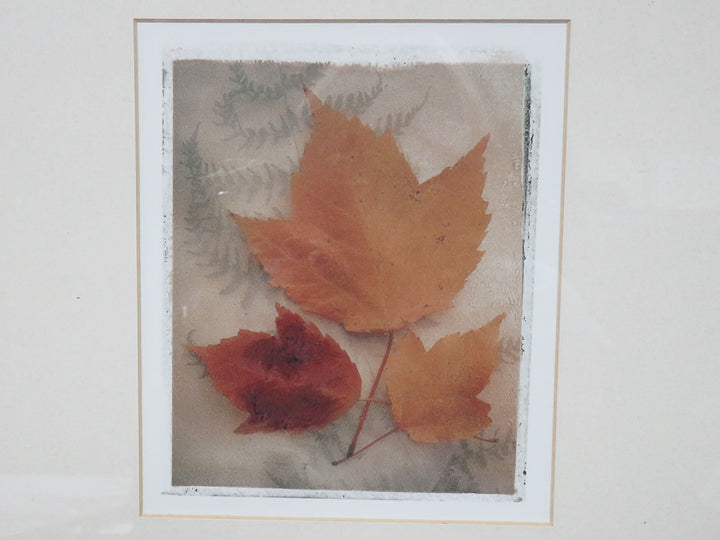 Pier 1 Leaf Trio Print