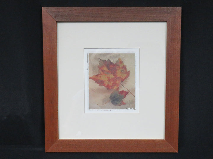 Pier 1 Maple Leaf Print