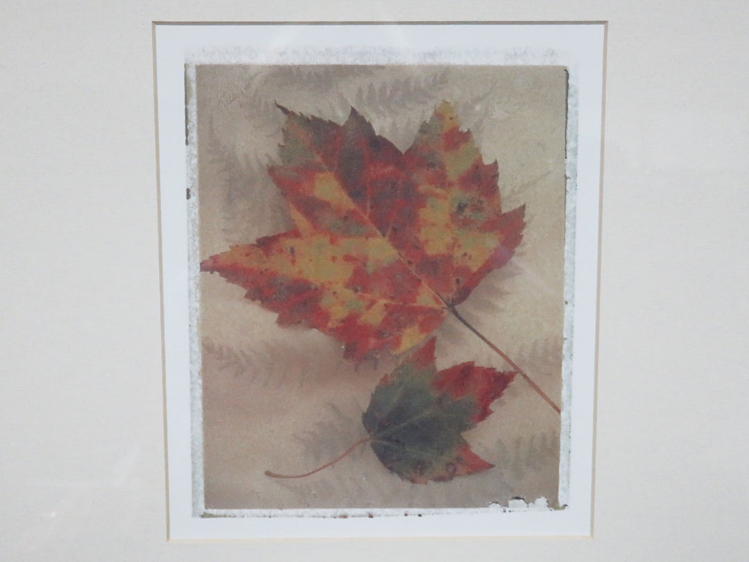 Pier 1 Maple Leaf Print