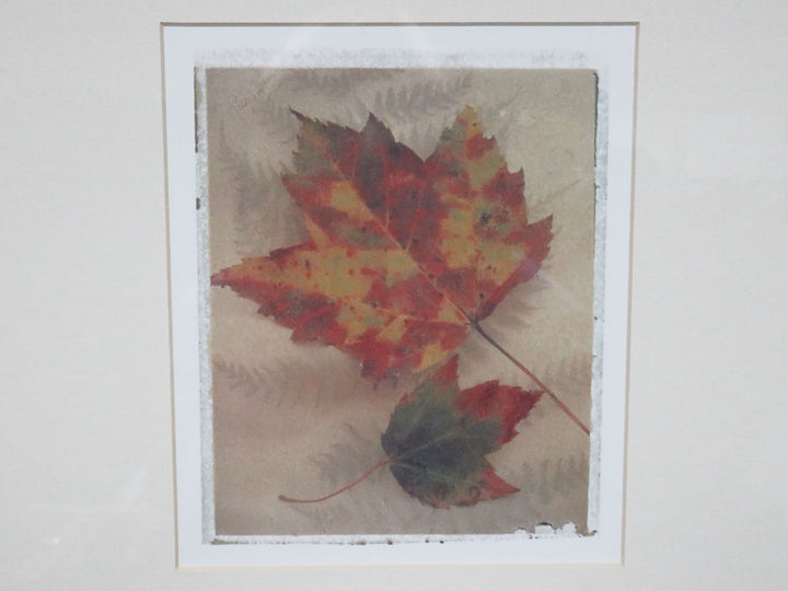 Pier 1 Maple Leaf Print