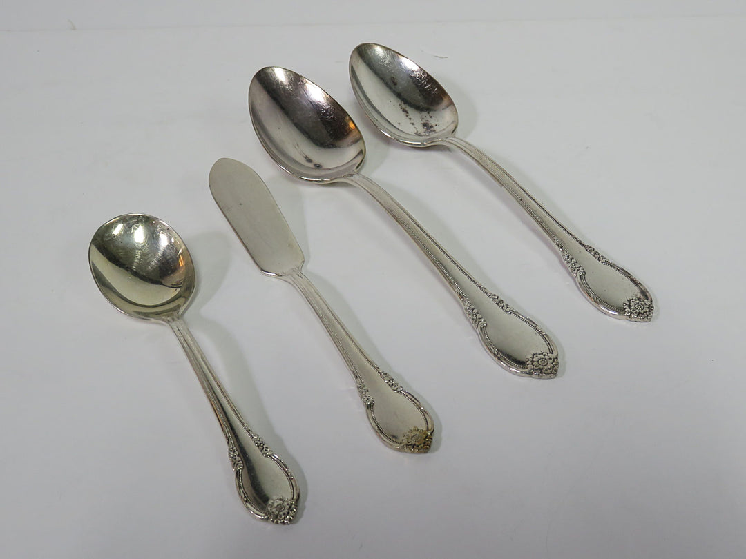 1847 Rogers Brothers Flatware