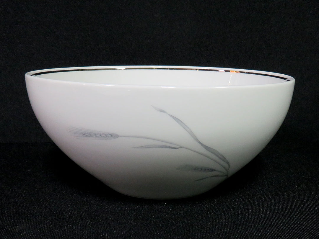 Johann Haviland China Set