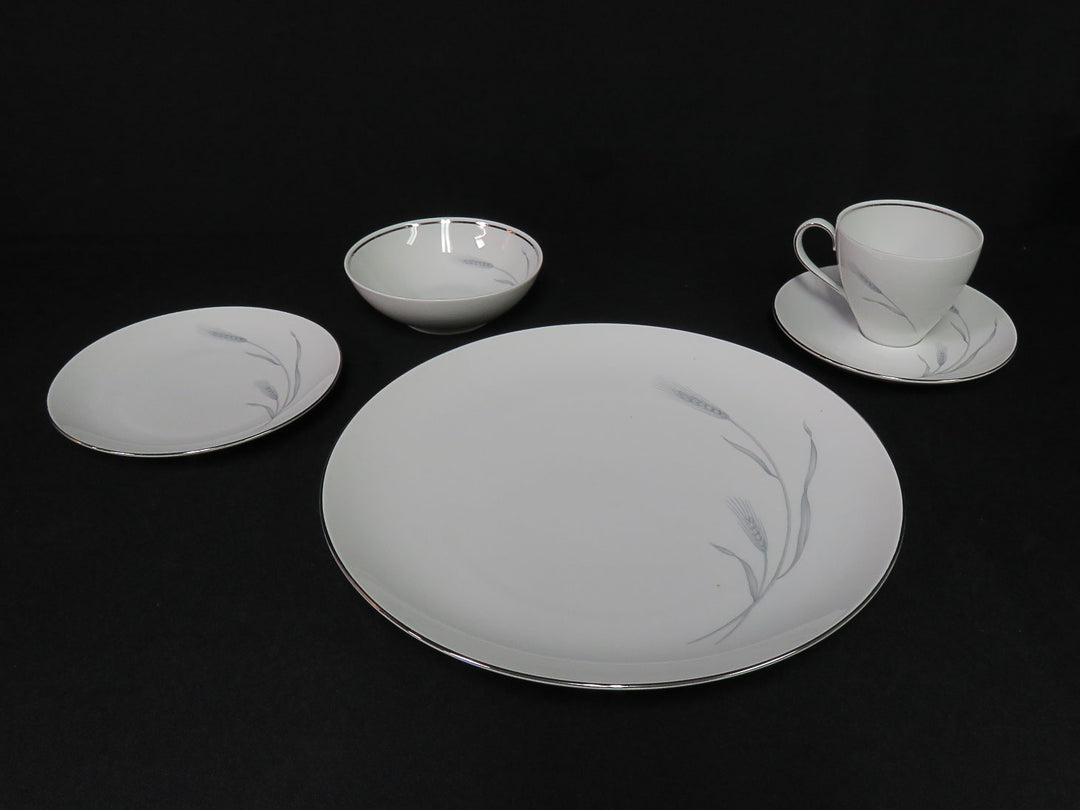Johann Haviland China Set