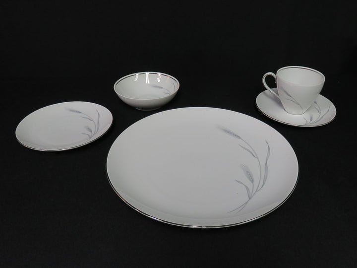 Johann Haviland China Set