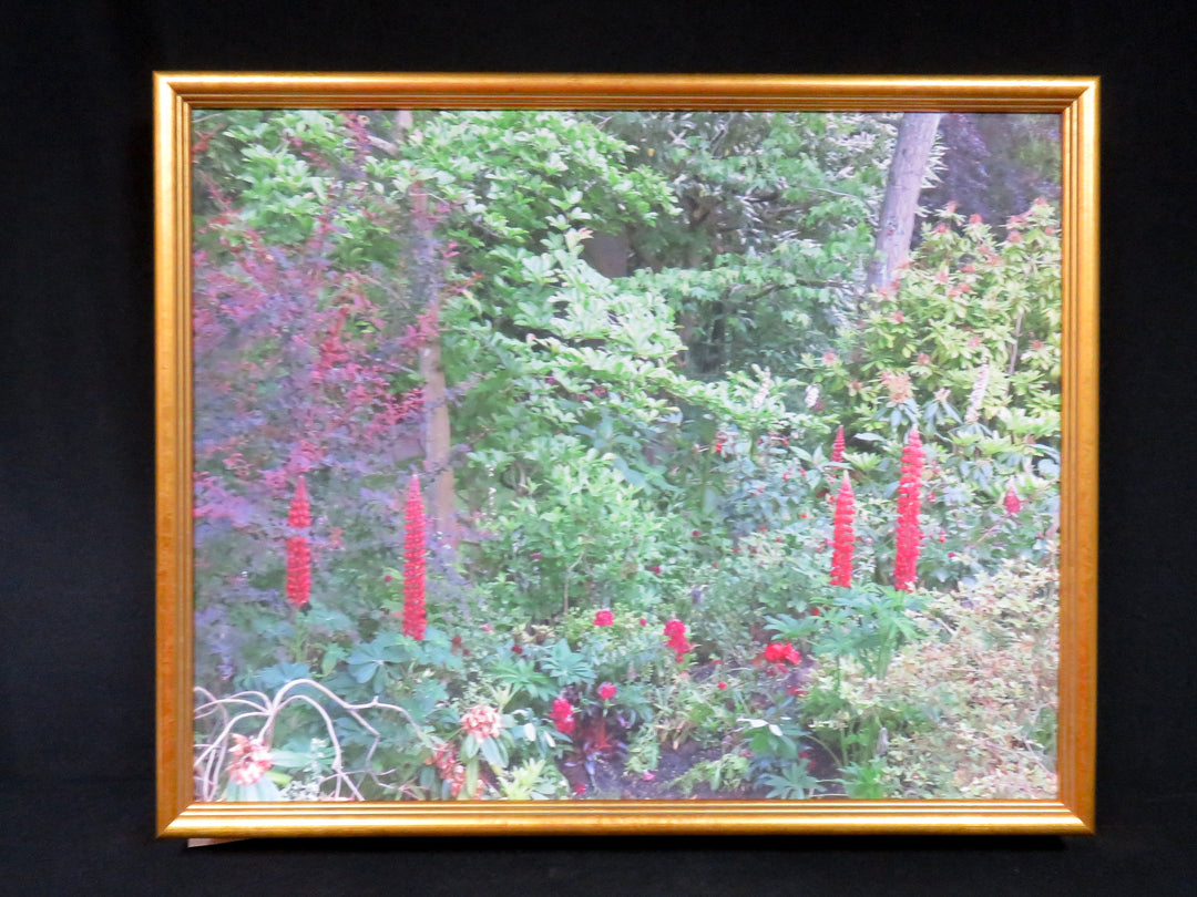 Photographic Print on Canvas