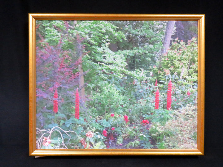 Photographic Print on Canvas