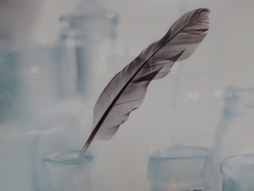 Feather Print