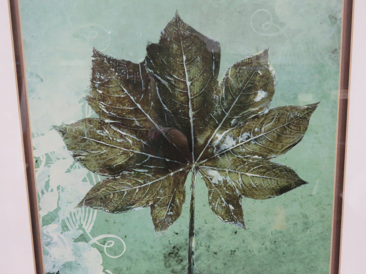 Maple Leaf Print