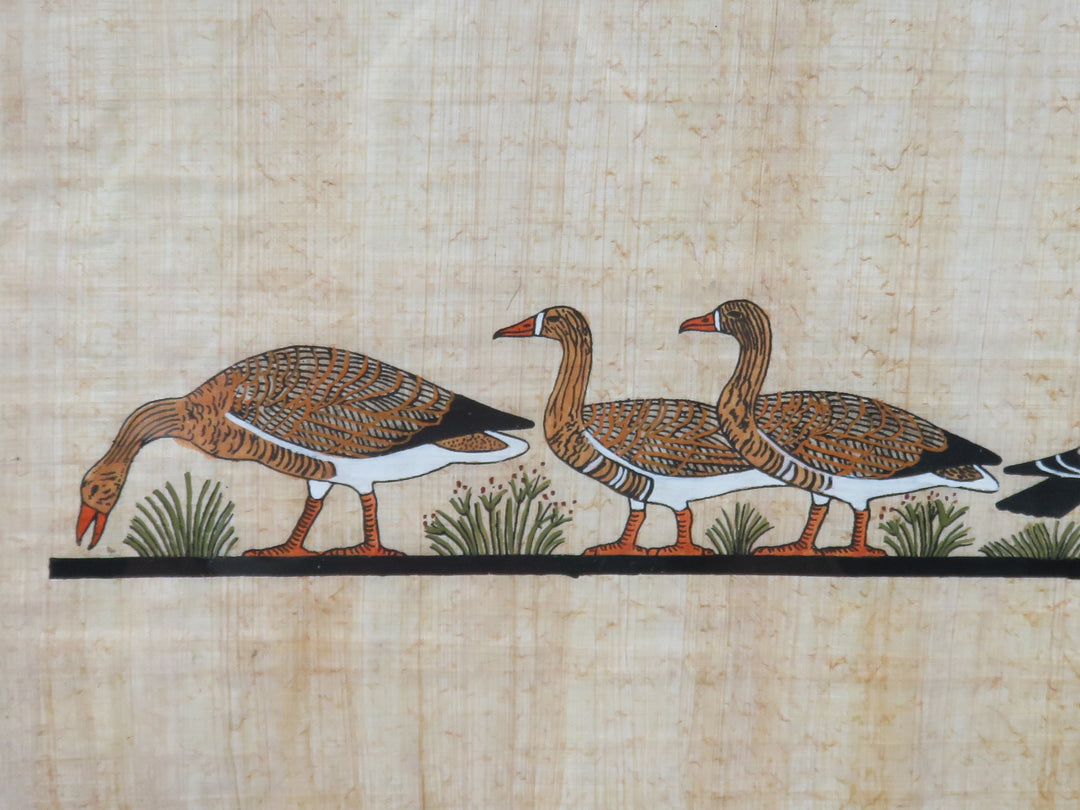 Waterfowl Print