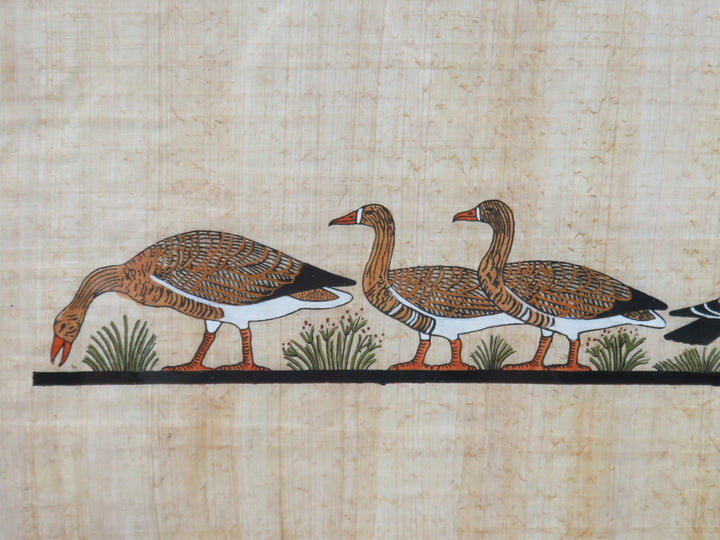 Waterfowl Print
