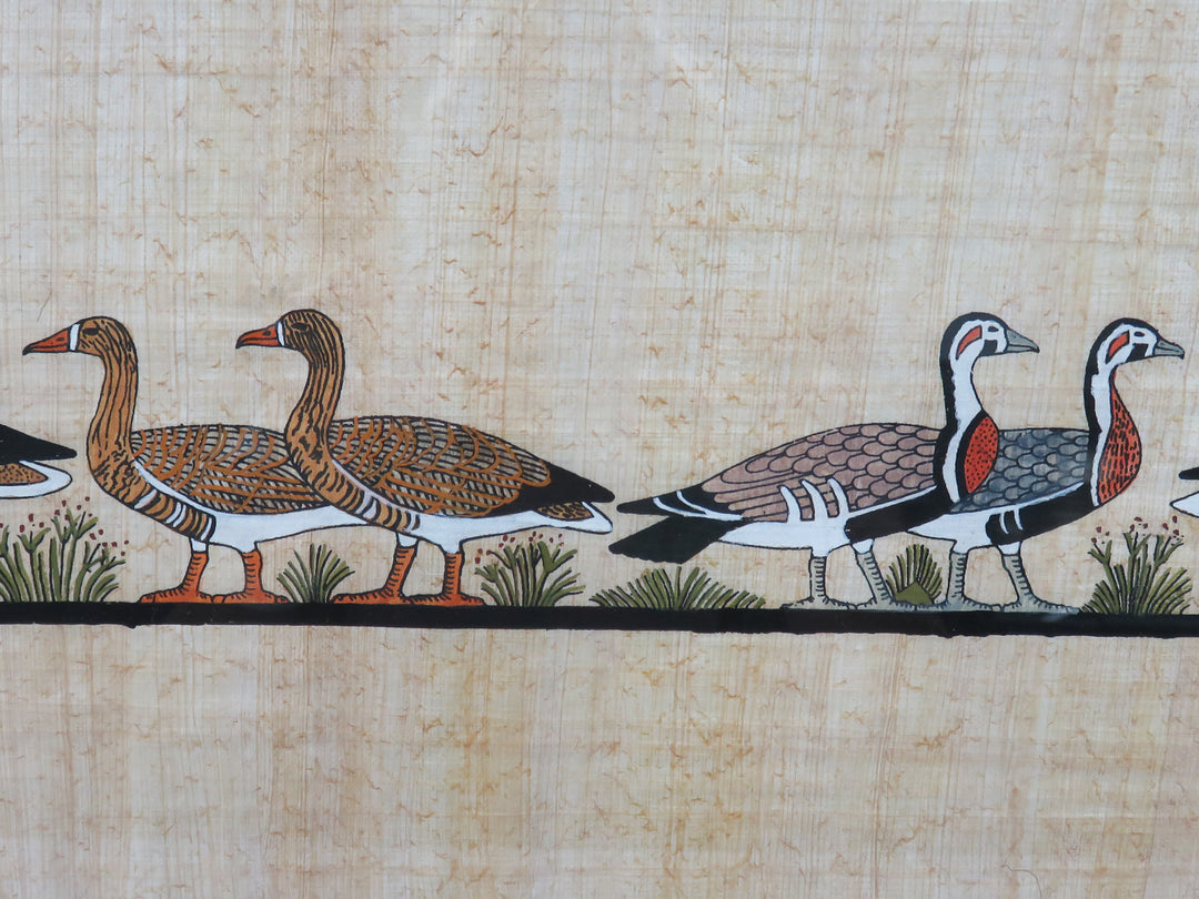 Waterfowl Print