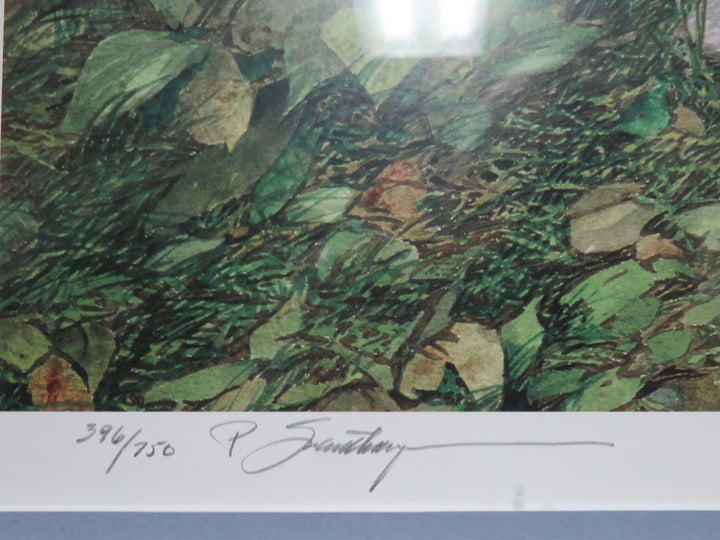 "Blue Willow" Signed Print