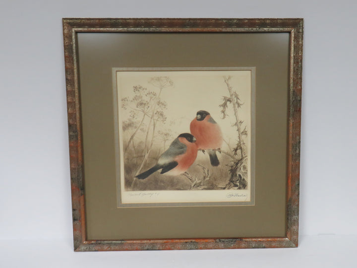 Bullfinches on a Branch
