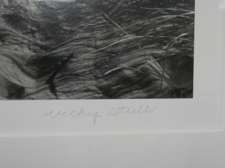 Coastal Dunes Photograph