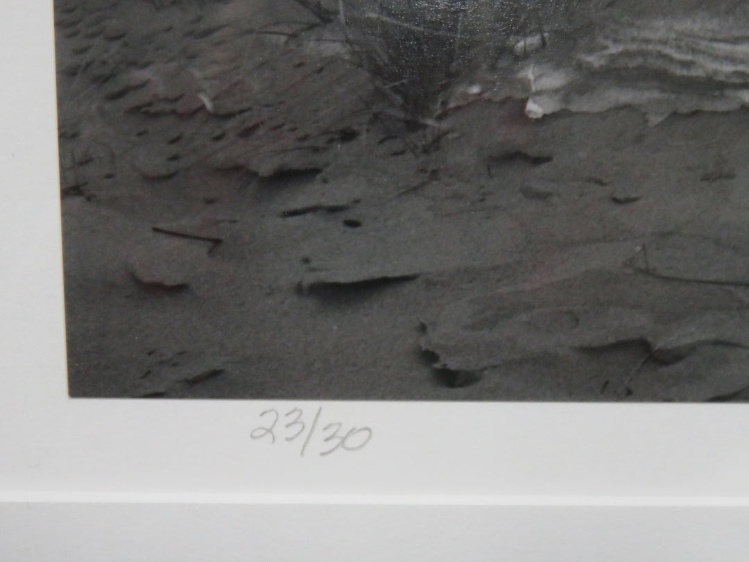 The Dune Photograph