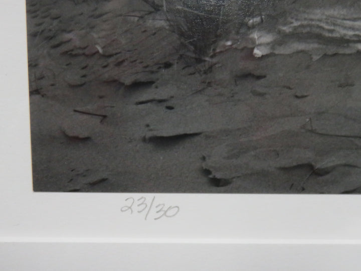 The Dune Photograph