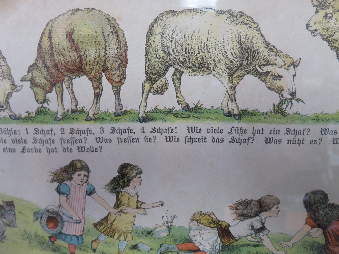 German Primer Page Framed