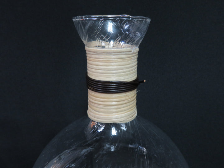 Bubble Glass Vase