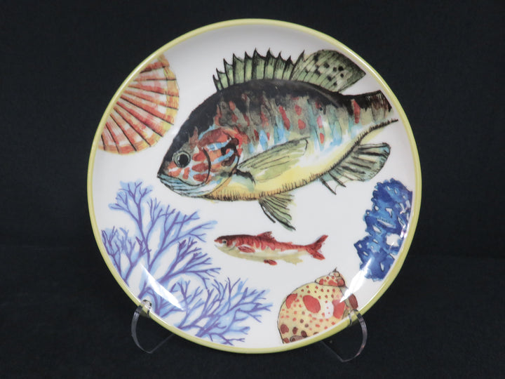 Williams Sonoma Salad Plates