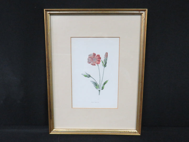 Botanical Print