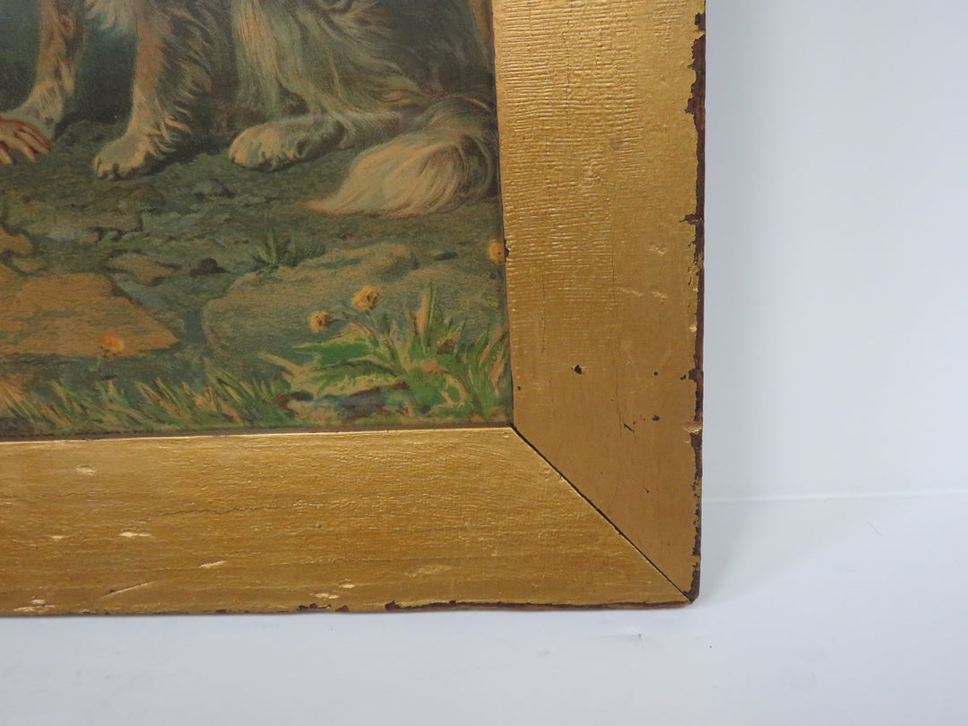 Vintage Print