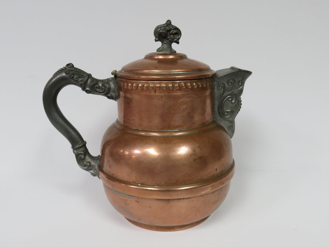 Copper Body Teapot