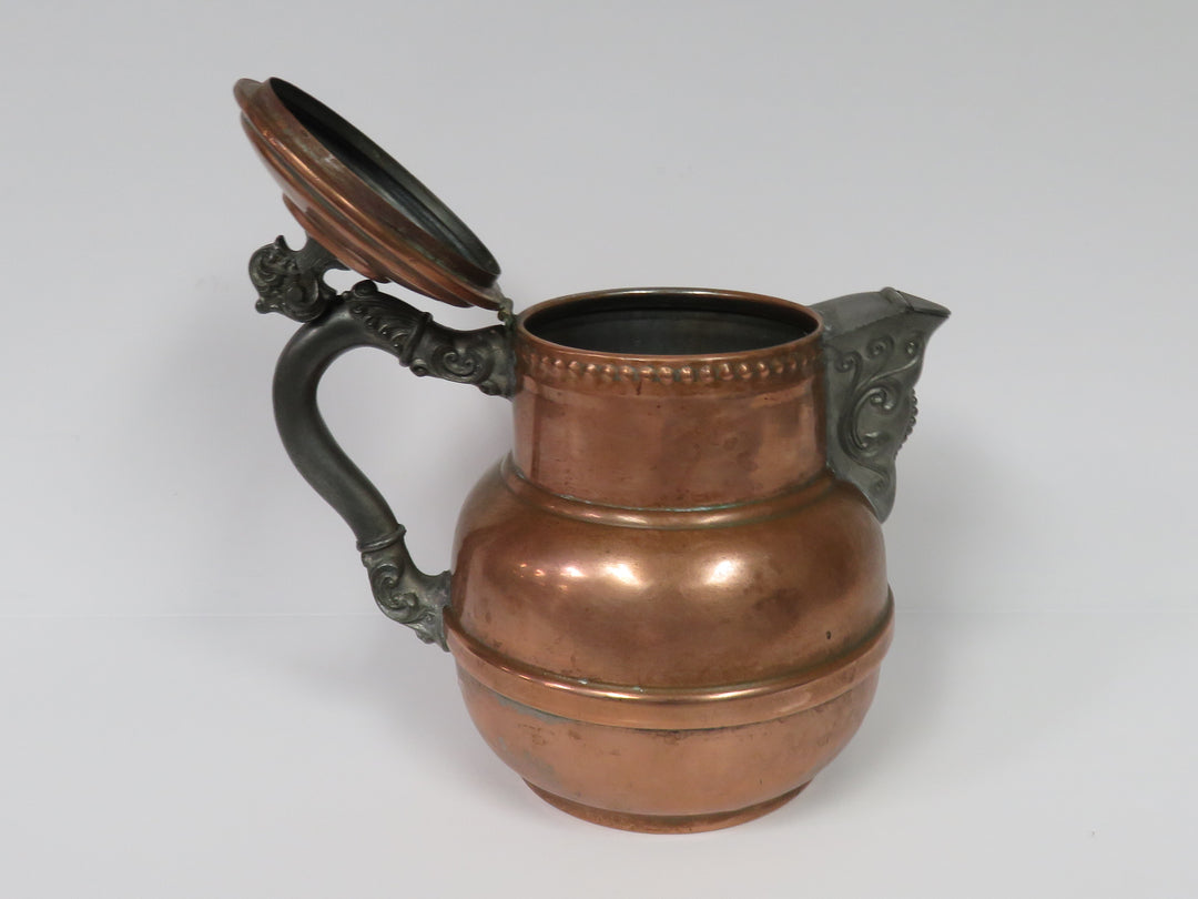 Copper Body Teapot