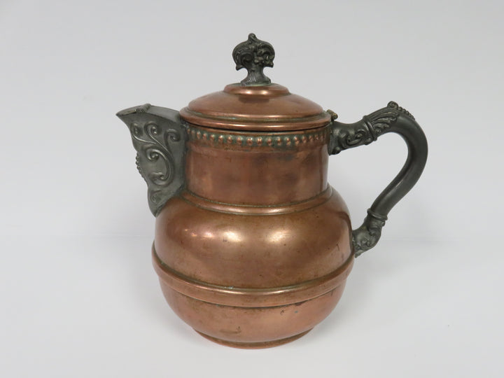 Copper Body Teapot
