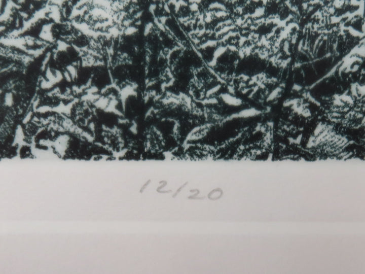 "Forest Garden" Signed Print