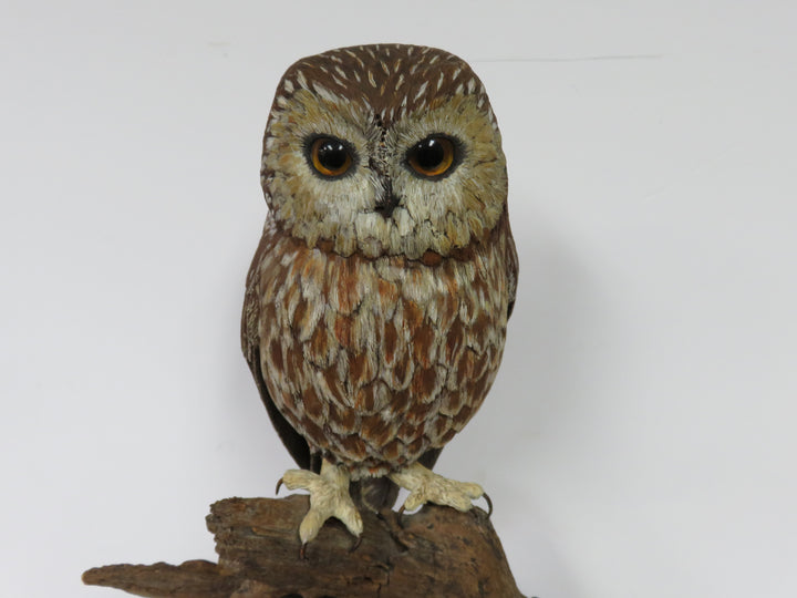 Owl Sculpture