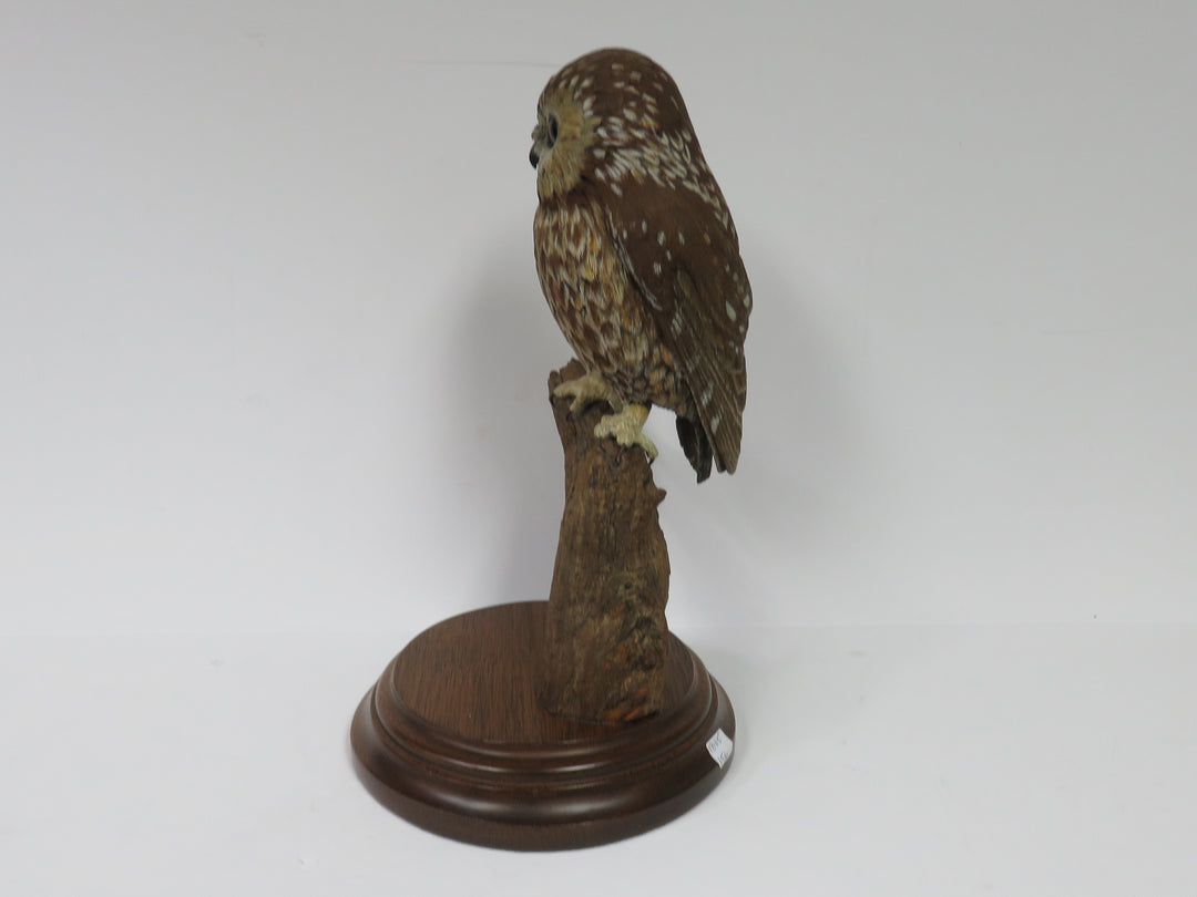 Owl Sculpture