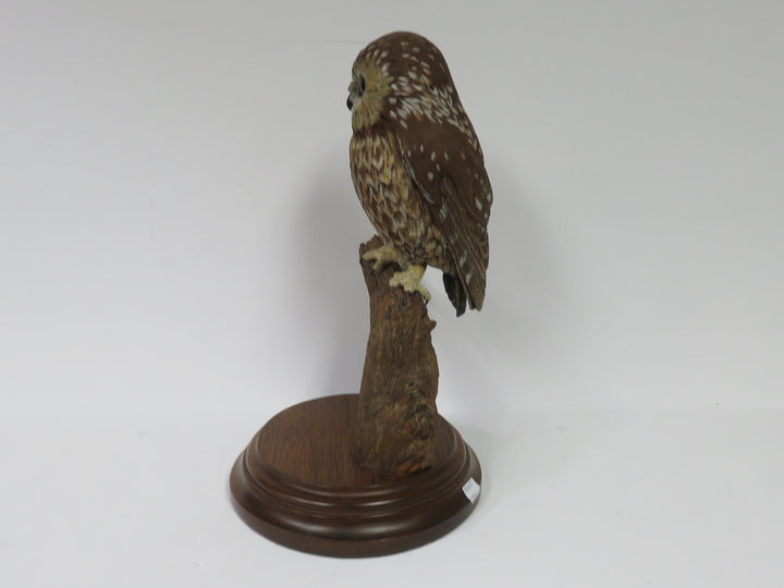 Owl Sculpture