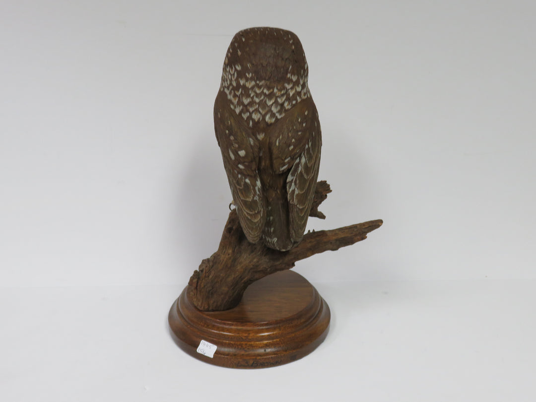 Owl Sculpture