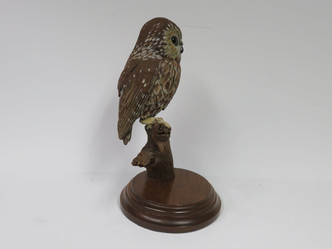 Owl Sculpture