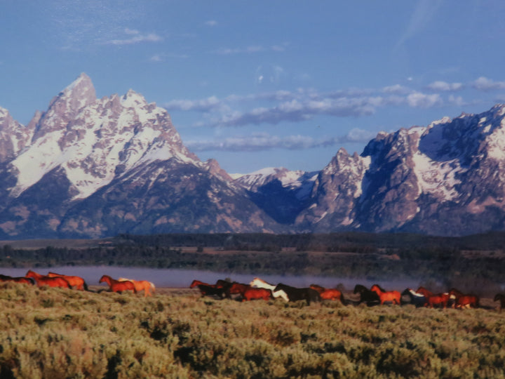 Mountain Scene Photograph