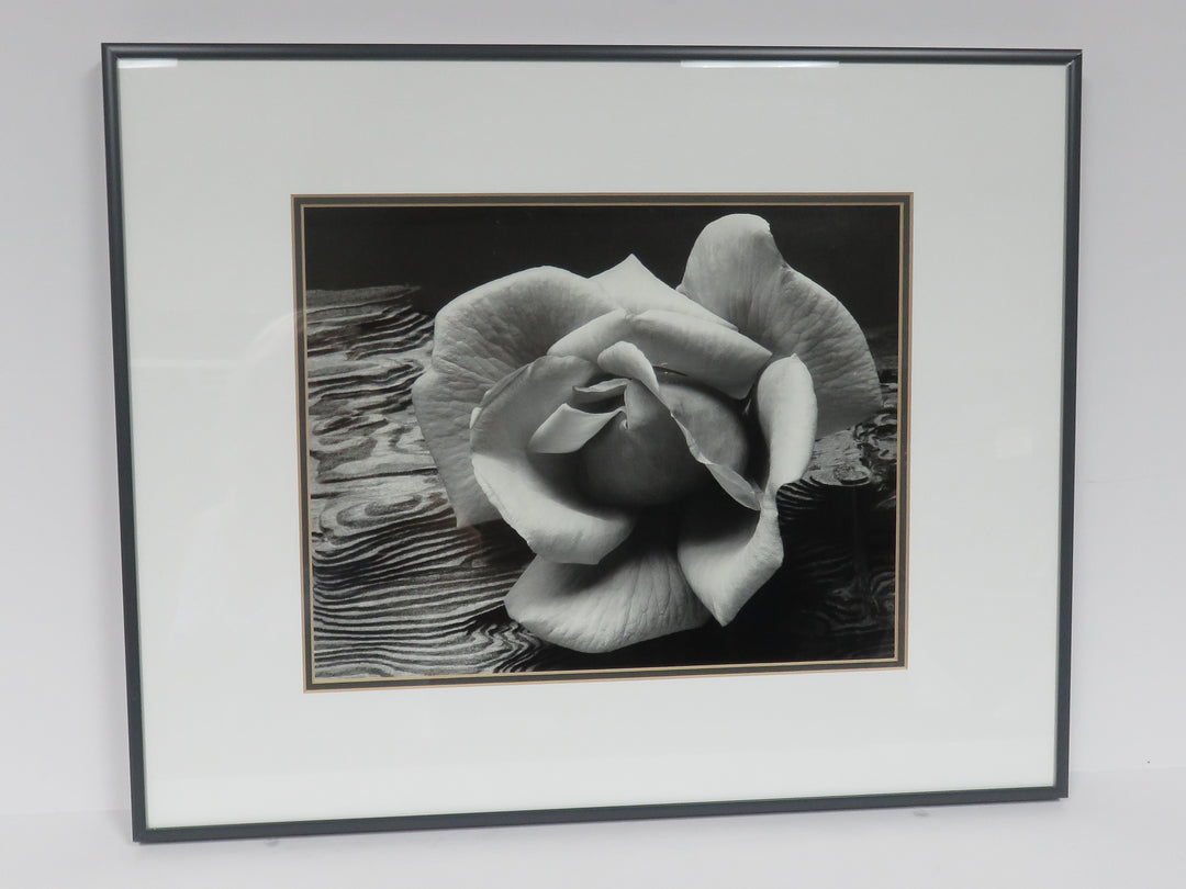 Ansel Adams Photograph Reproduction