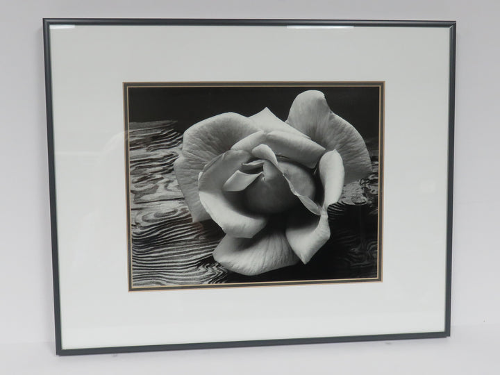 Ansel Adams Photograph Reproduction