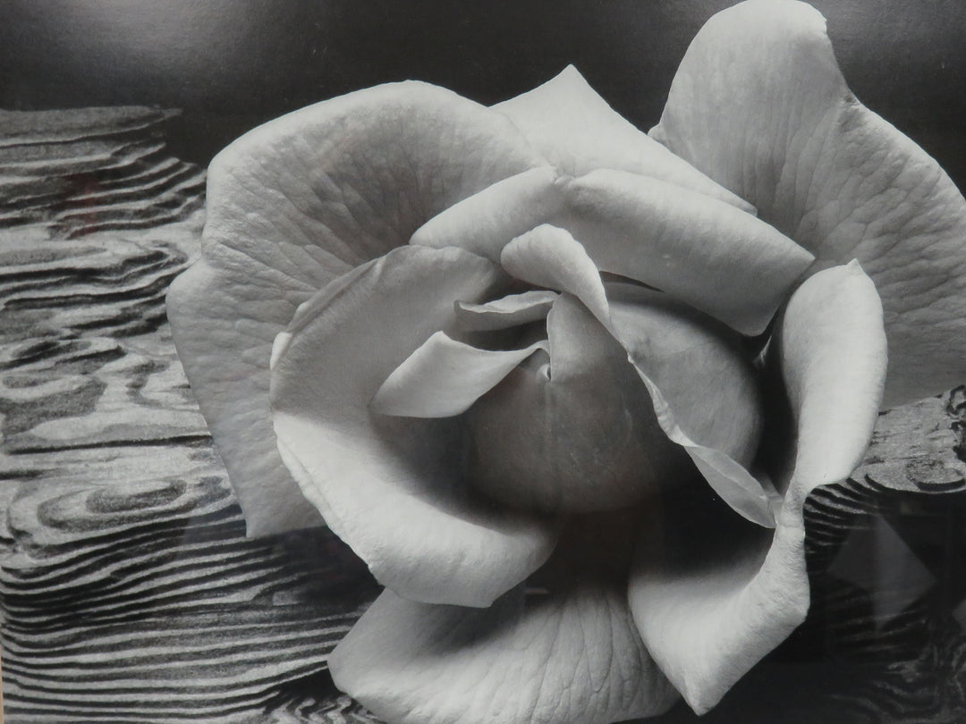 Ansel Adams Photograph Reproduction