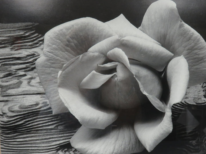 Ansel Adams Photograph Reproduction
